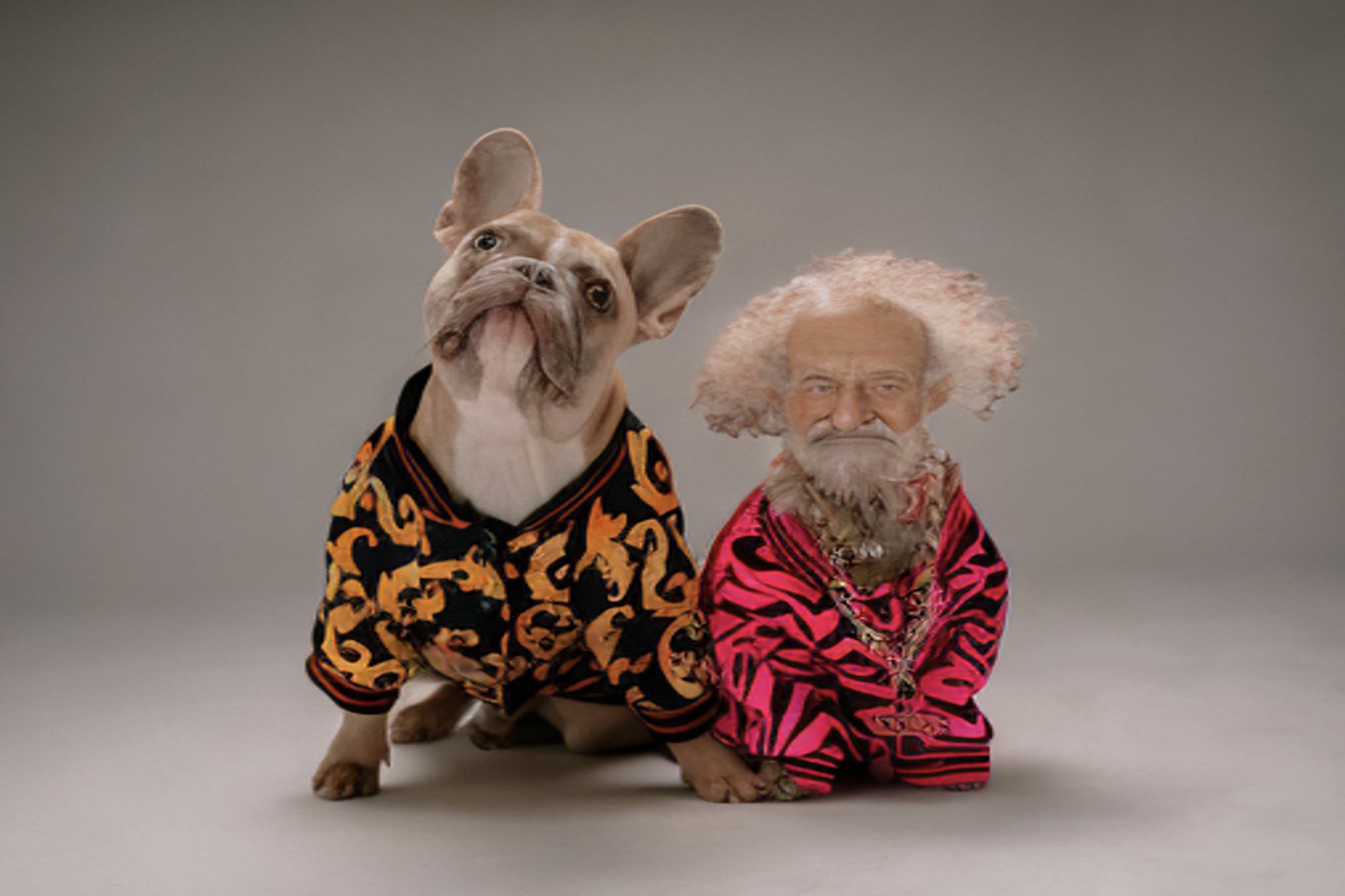 An image of our two dogs but the righthand dog's face has been replaced with the face of an old man.